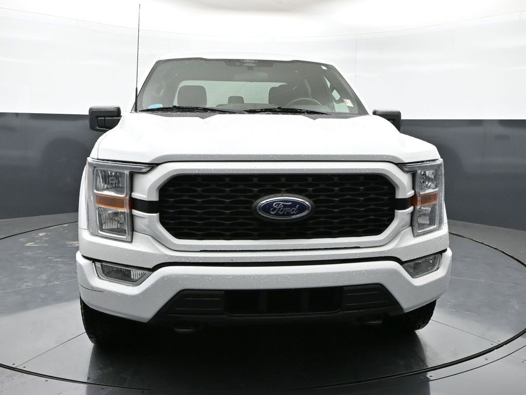 Used 2022 Ford F150 XL w/ STX Appearance Package AWD/4WD image 6