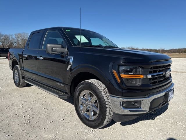 Used 2025 Ford F150 XLT w/ Equipment Group 301A Standard image 7