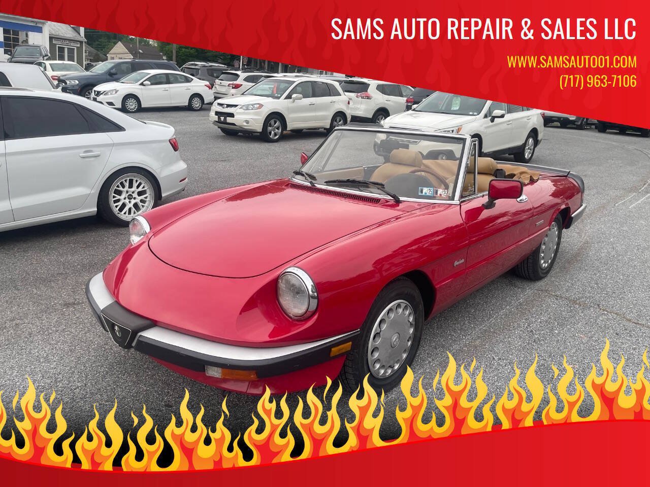 Used 1990 Alfa Romeo Spider Graduate