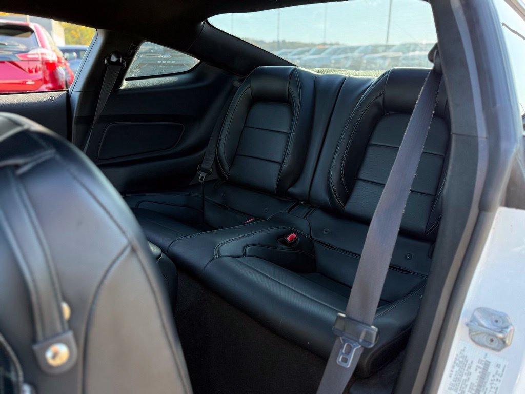 Used 2016 Ford Mustang Premium w/ Equipment Group 201A RWD image 15