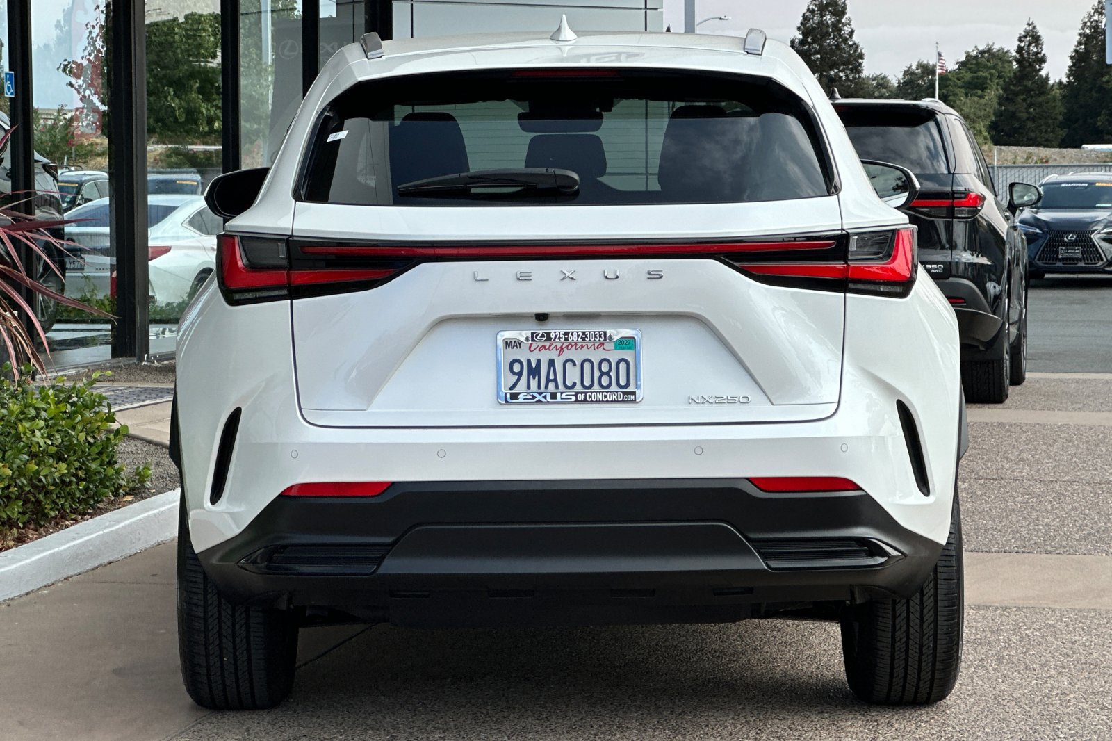 Certified 2025 Lexus NX 250 FWD image 5