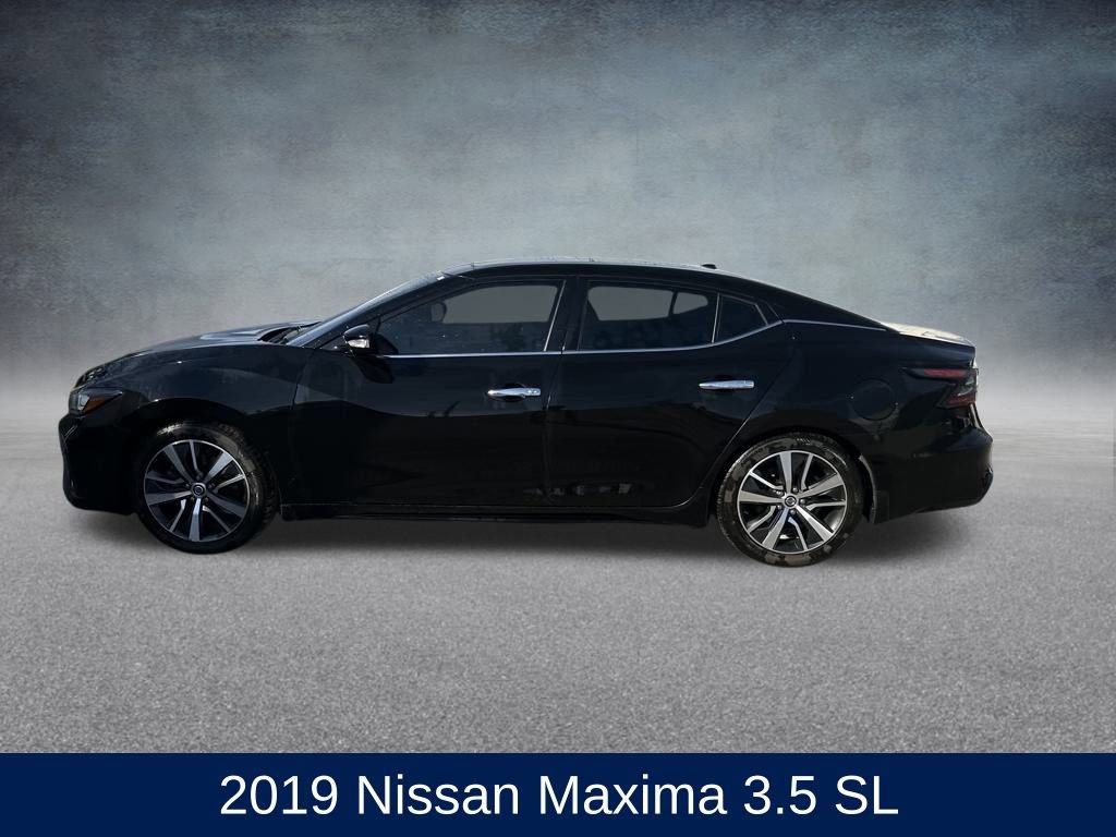 Used 2019 Nissan Maxima 3.5 SL image 2