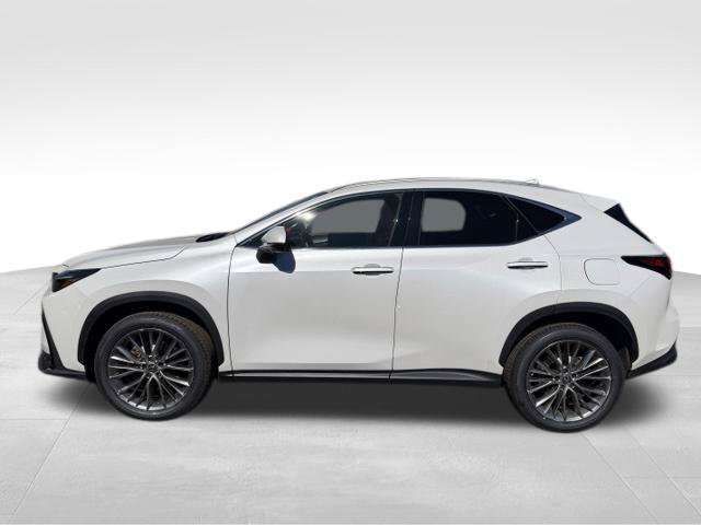 Certified 2024 Lexus NX 350 AWD w/ Vision Package image 4