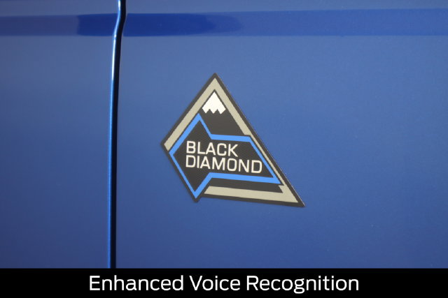 Certified 2022 Ford Bronco Black Diamond AWD/4WD image 19