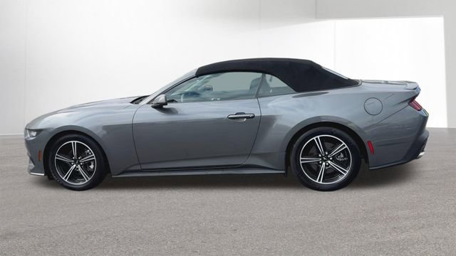 Used 2024 Ford Mustang Premium image 5