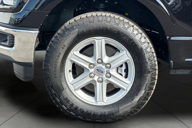 Used 2025 Ford F150 XLT w/ Equipment Group 301A Standard AWD/4WD image 29