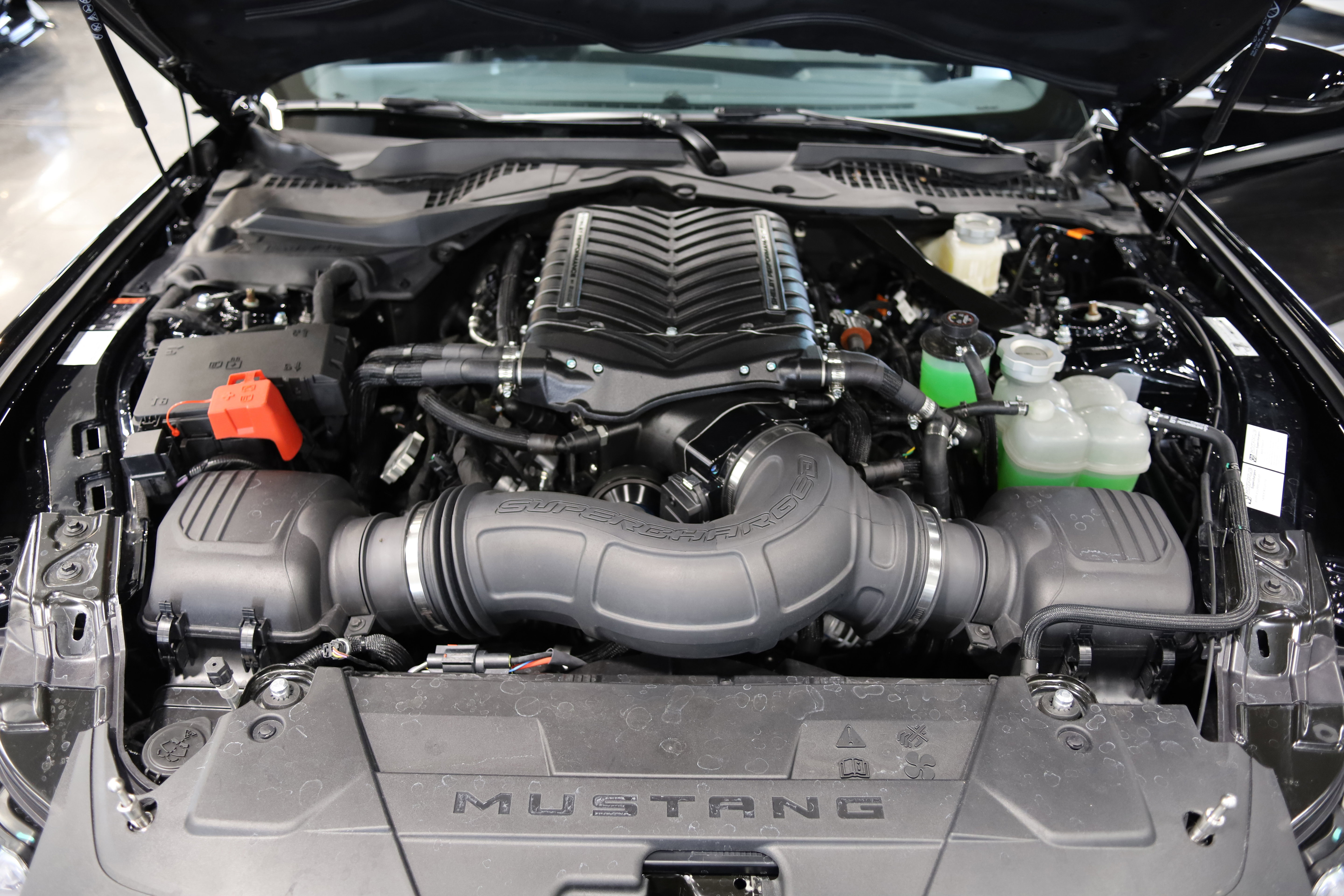 Used 2024 Ford Mustang GT Premium w/ GT Performance Package RWD image 33