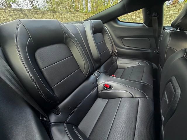 Used 2019 Ford Mustang Premium w/ Equipment Group 201A RWD image 12