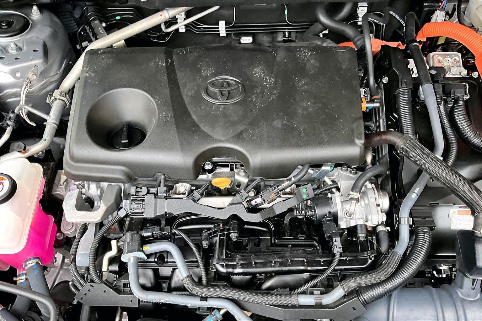 Certified 2025 Toyota RAV4 XLE AWD/4WD image 33
