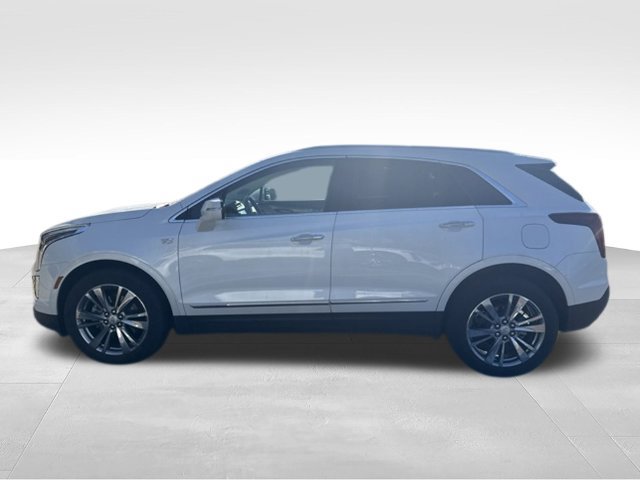 Used 2024 Cadillac XT5 Premium Luxury AWD/4WD image 12