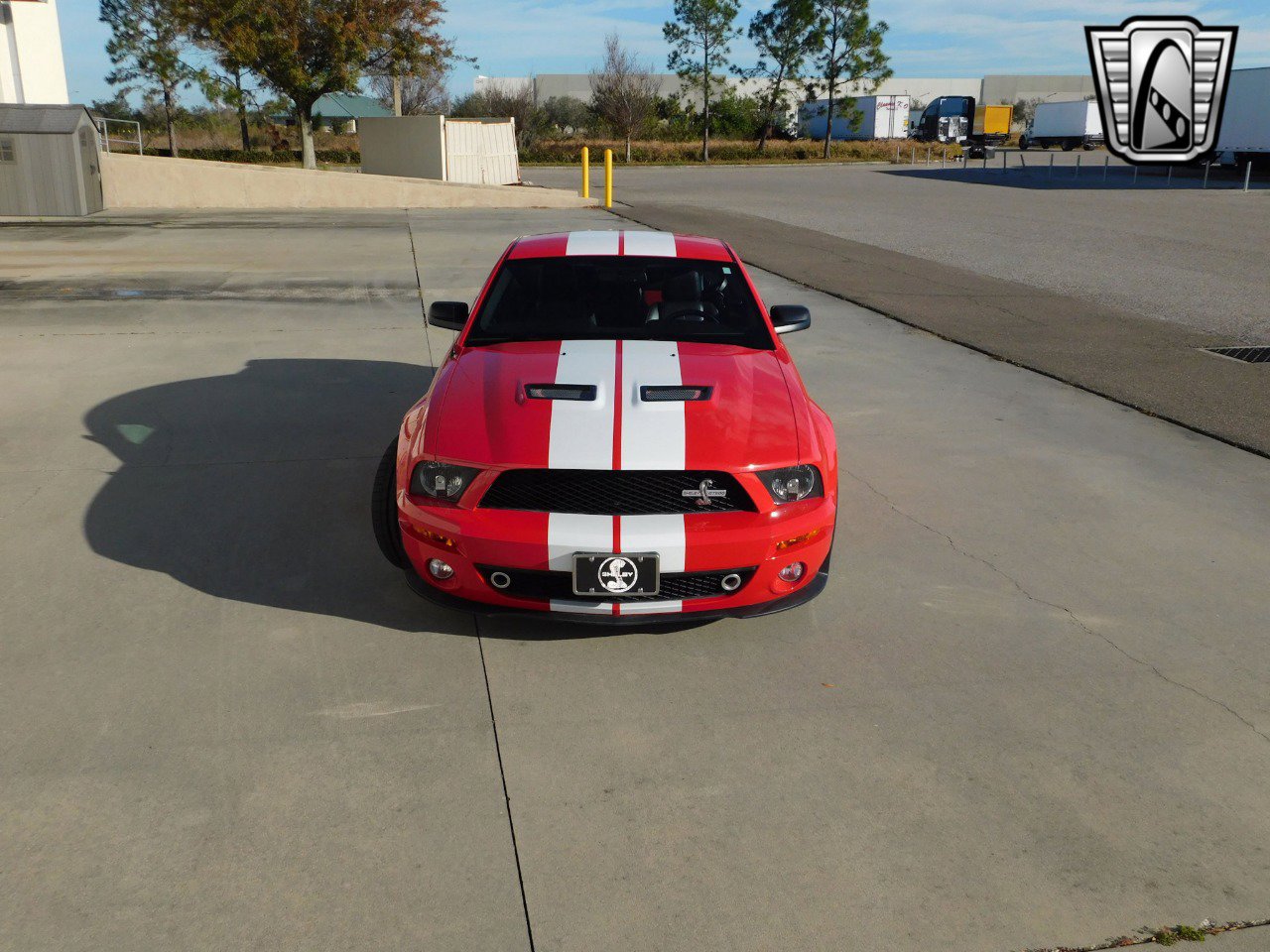 Used 2008 Ford Mustang Shelby GT500 image 8