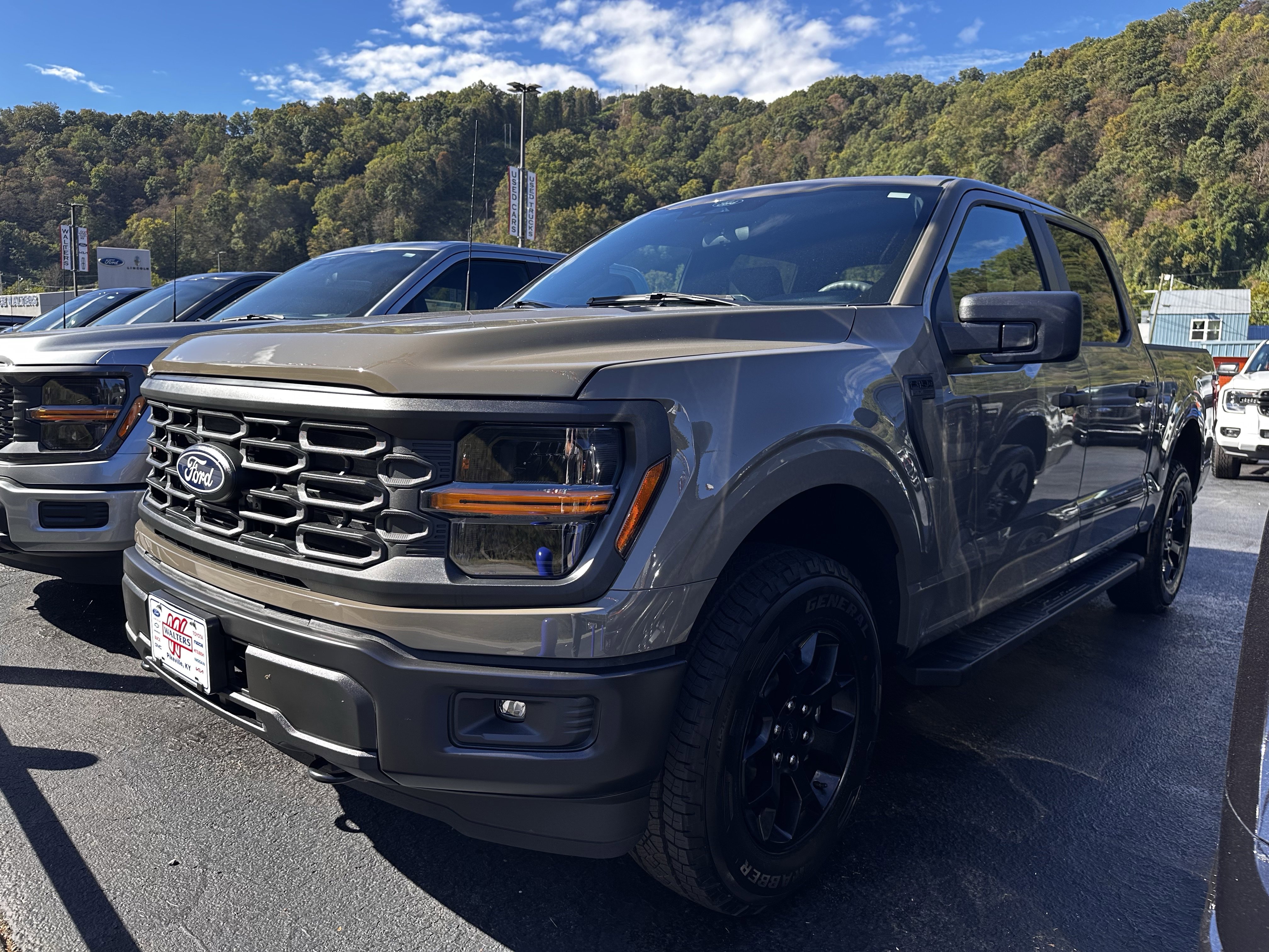 New 2025 Ford F150 STX image 3