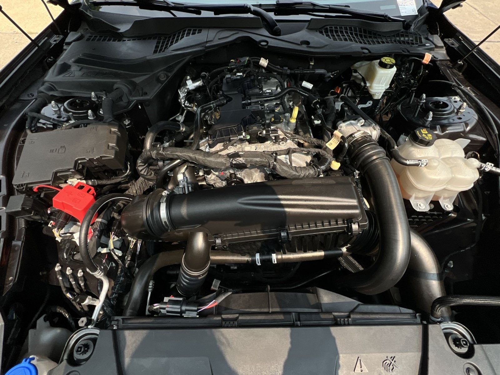 Used 2024 Ford Mustang Coupe RWD image 38