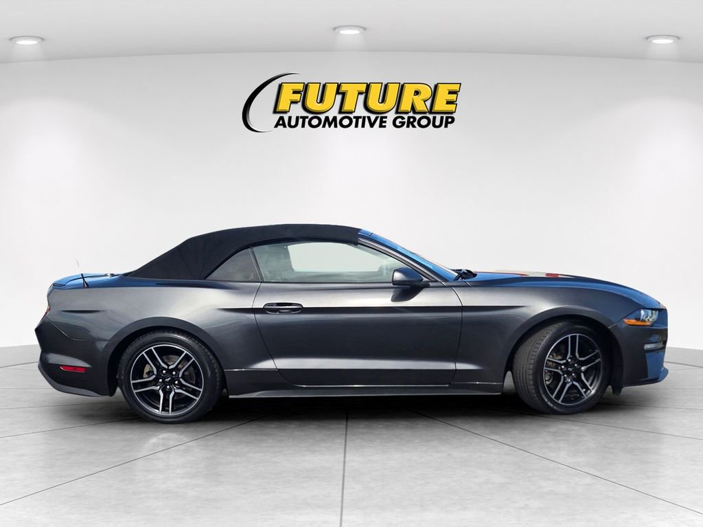 Used 2019 Ford Mustang Premium RWD image 3