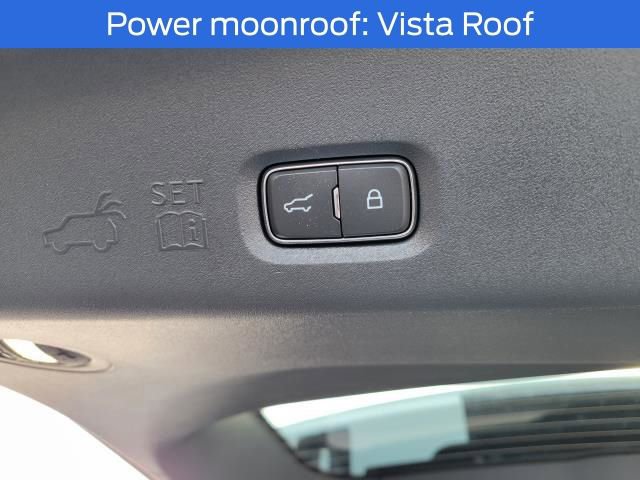 New 2025 Ford Expedition Platinum w/ Platinum Ultimate Package image 24