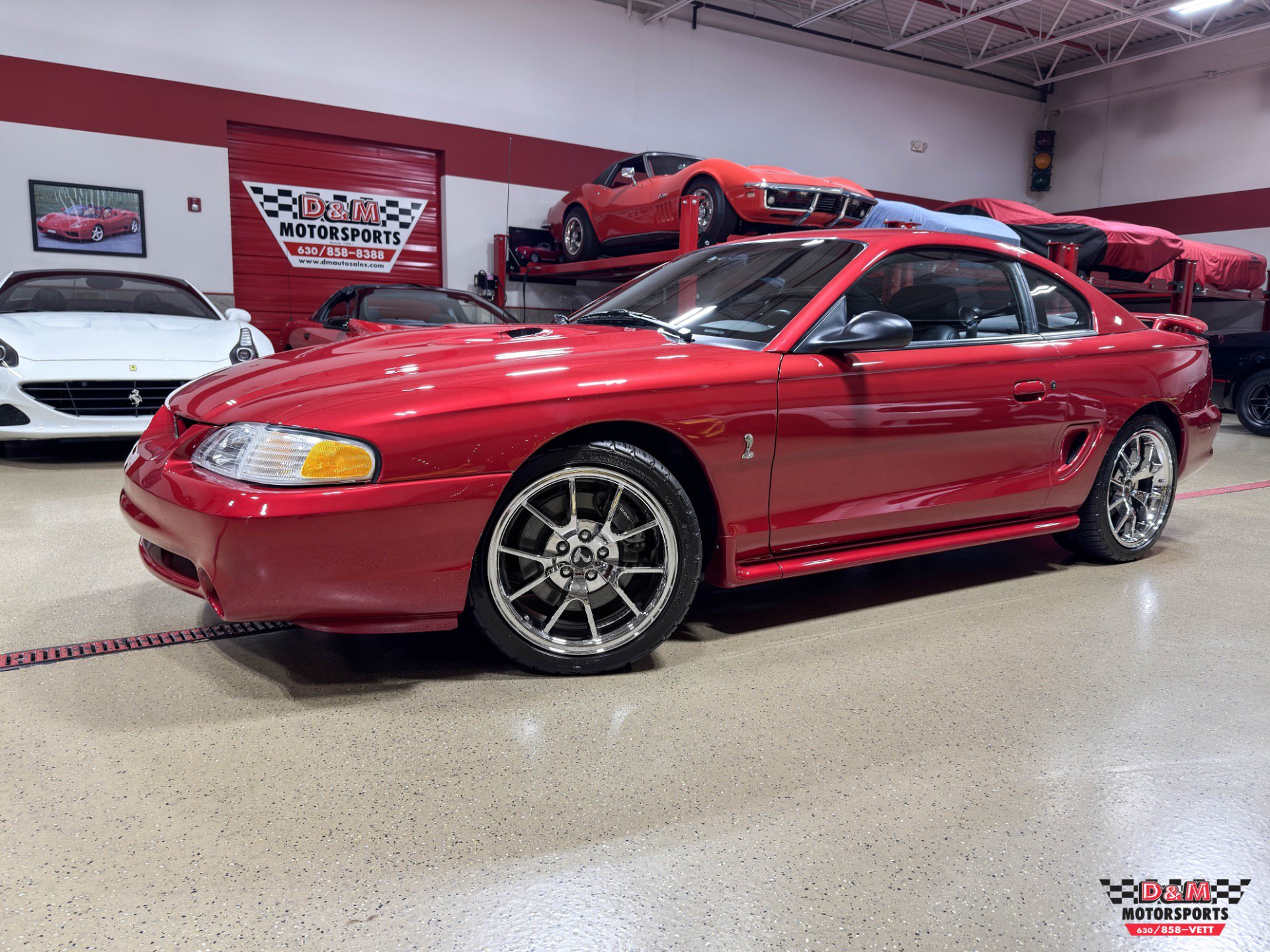 Used 1996 Ford Mustang Cobra