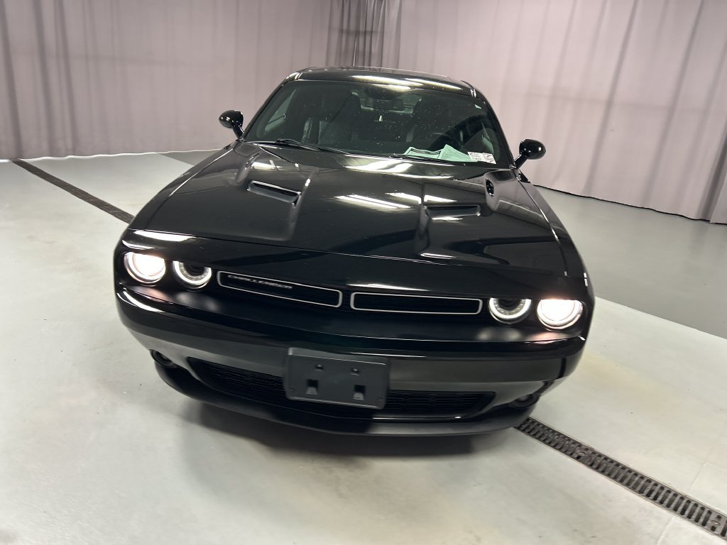 Used 2017 Dodge Challenger SXT Plus RWD image 2