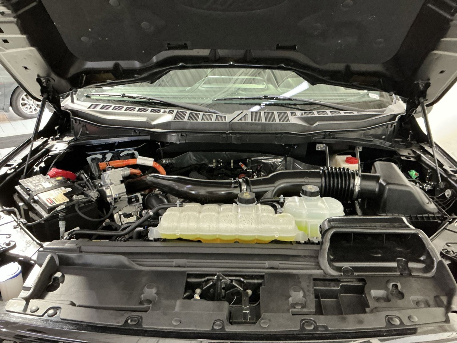 Used 2025 Ford F150 XLT w/ Equipment Group 303A High image 35