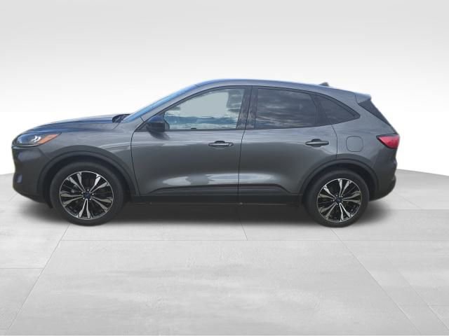 Used 2022 Ford Escape SE w/ SE Sport Appearance Package image 4