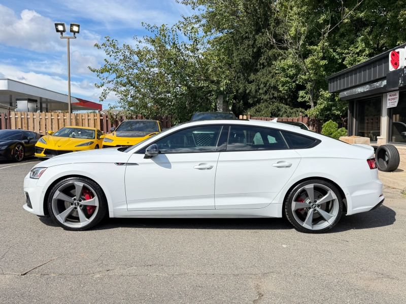 Used 2019 Audi S5 Prestige AWD/4WD image 9