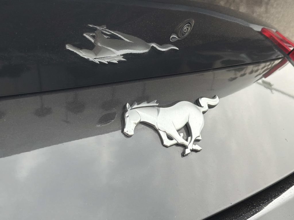 Certified 2024 Ford Mustang Premium RWD image 9