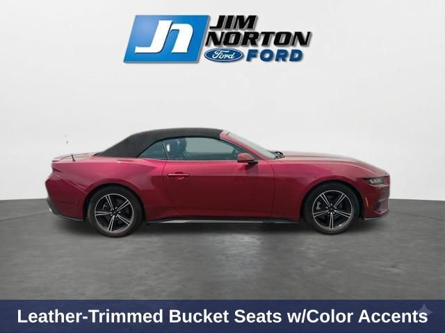 Used 2025 Ford Mustang Premium RWD image 12