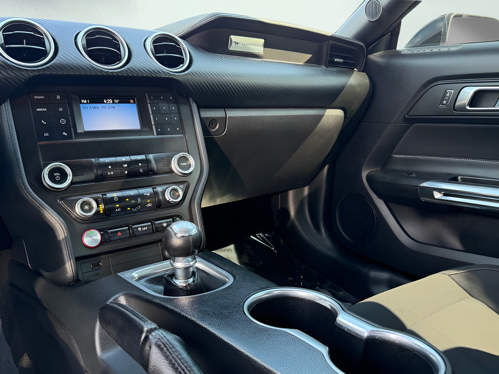 Used 2019 Ford Mustang Coupe RWD image 37