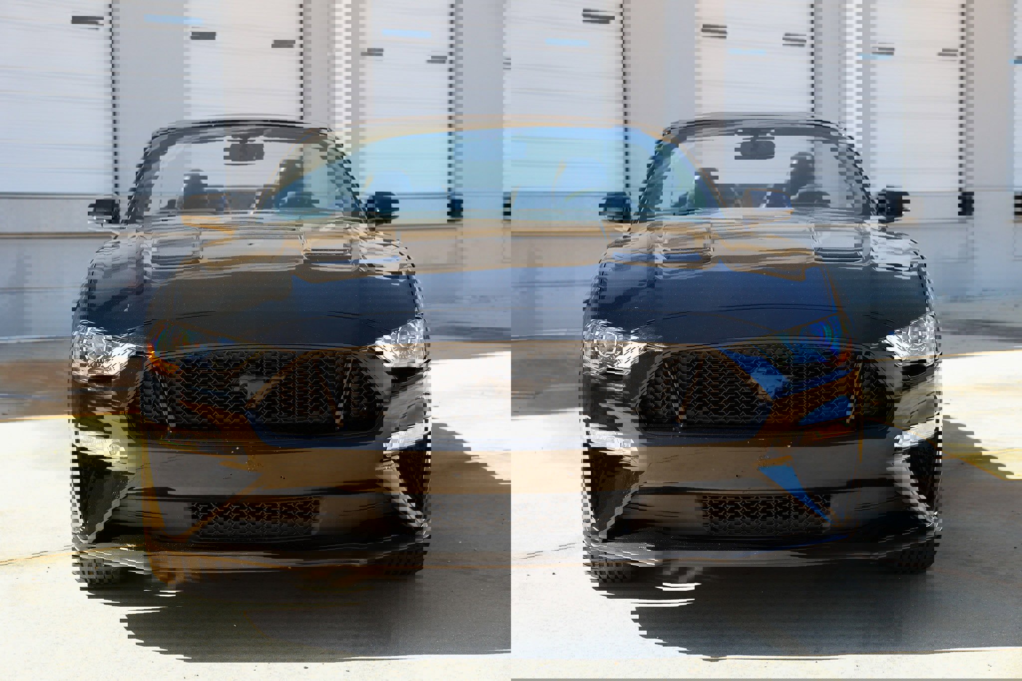 Used 2019 Ford Mustang GT Premium w/ Equipment Group 401A image 20