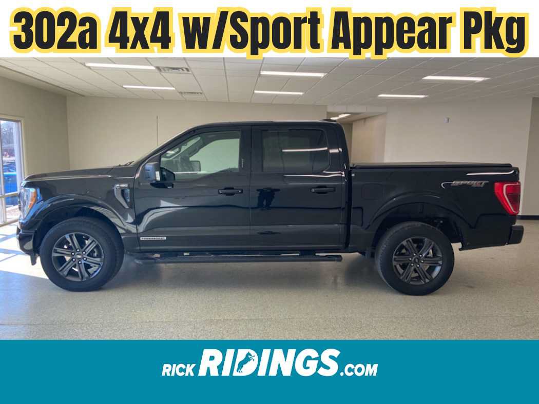 Used 2023 Ford F150 XLT w/ Equipment Group 302A High