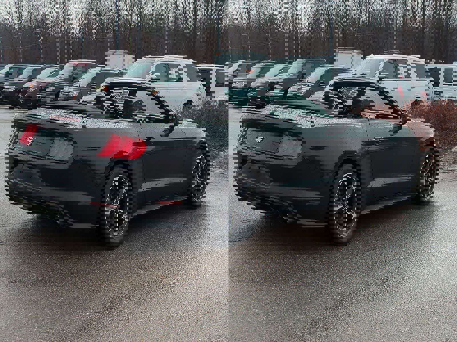 Used 2018 Ford Mustang EcoBoost w/ Equipment Group 101A image 8