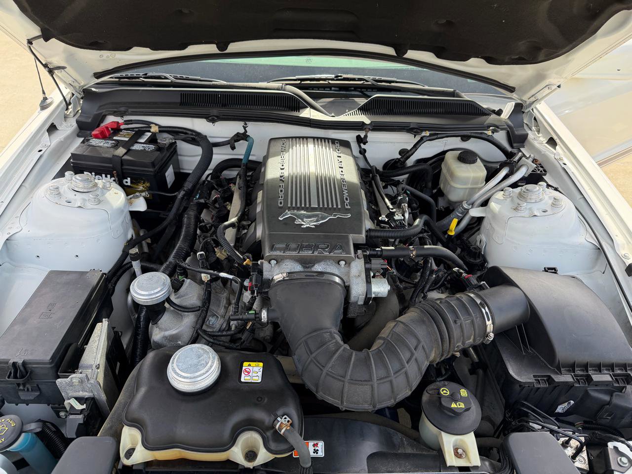 Used 2007 Ford Mustang GT image 13