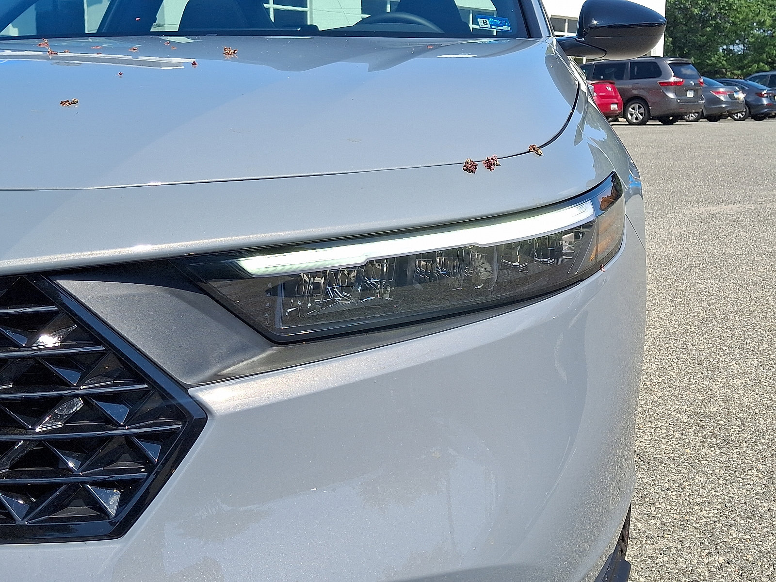 New 2026 Honda Accord Sport image 6