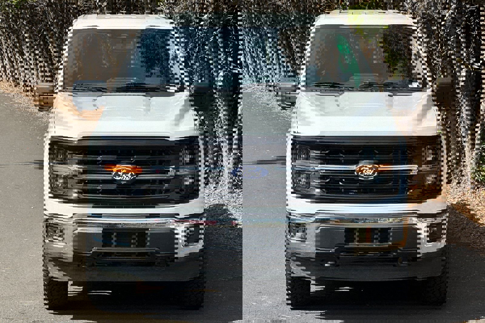 Used 2024 Ford F150 XLT w/ FX4 Off-Road Package image 9