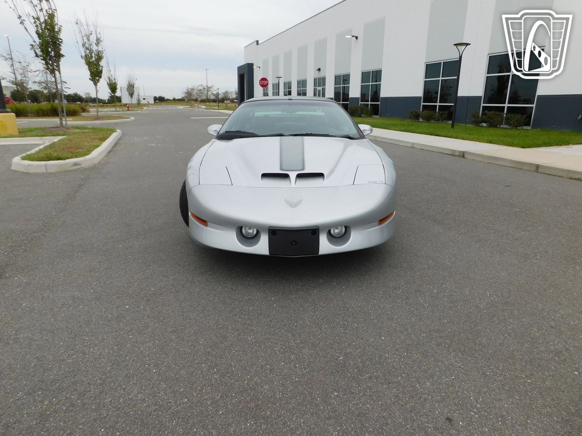 Used 1997 Pontiac Firebird Trans Am image 2