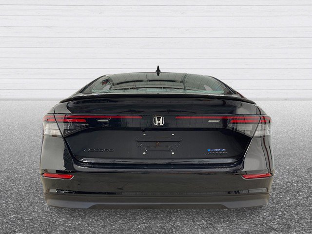 New 2026 Honda Accord Sport image 5