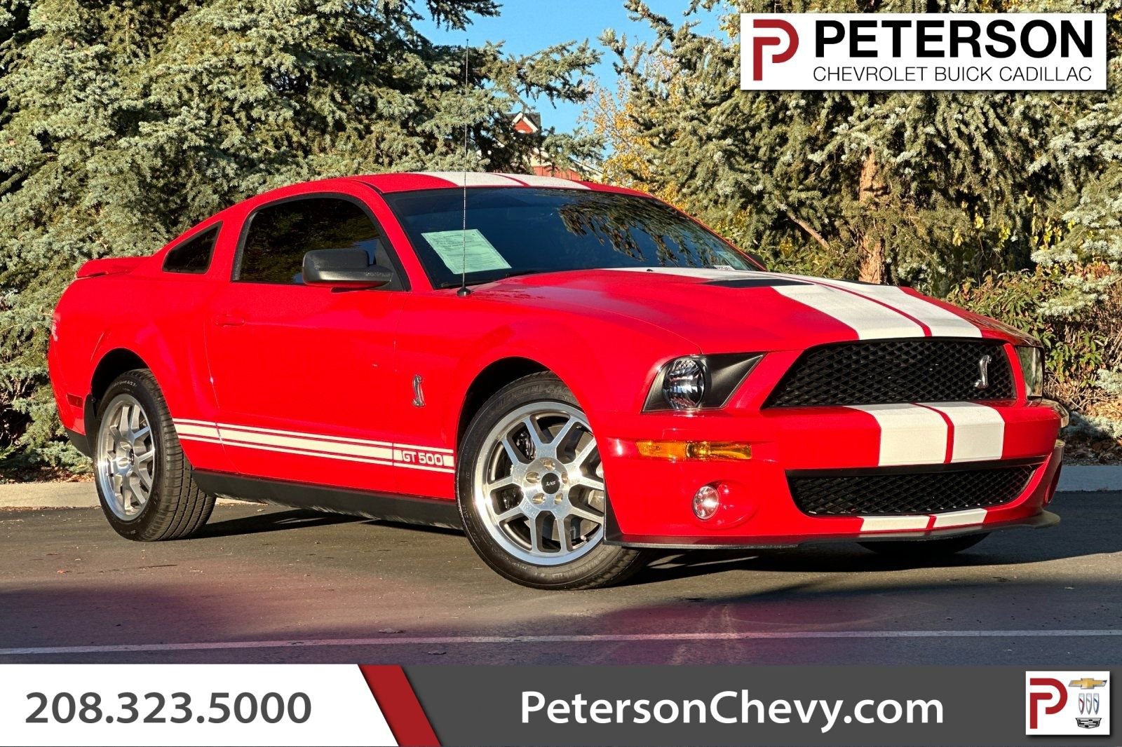 Used 2007 Ford Mustang Shelby GT500