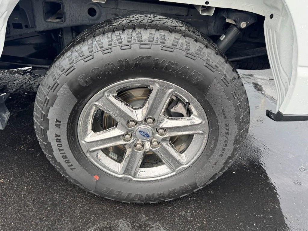 Used 2025 Ford F150 XLT w/ Equipment Group 301A Standard AWD/4WD image 6