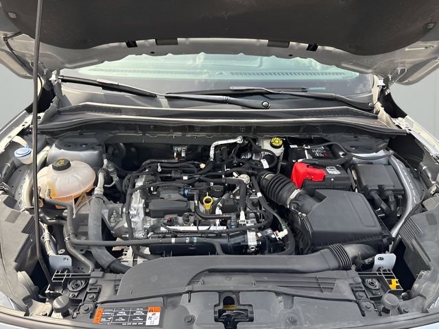 Used 2021 Ford Escape SE w/ SE Sport Appearance Package image 17