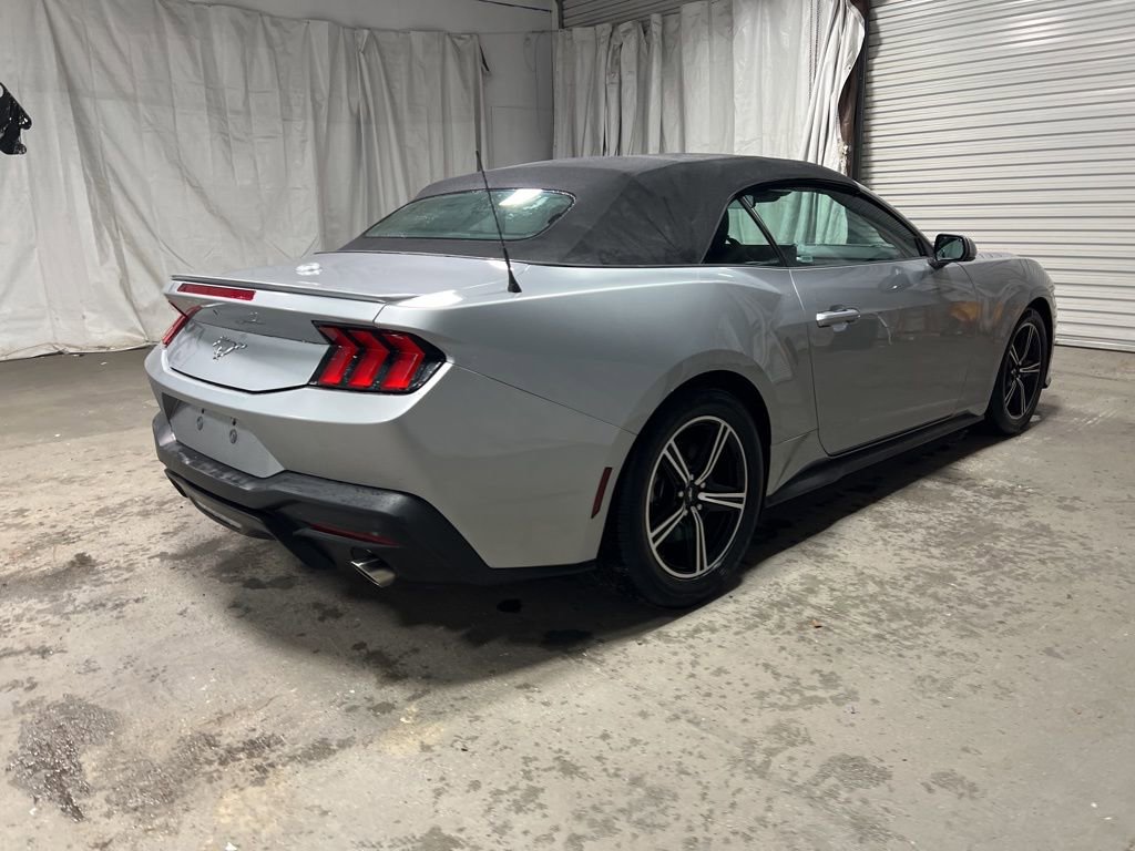 Used 2024 Ford Mustang Premium image 7