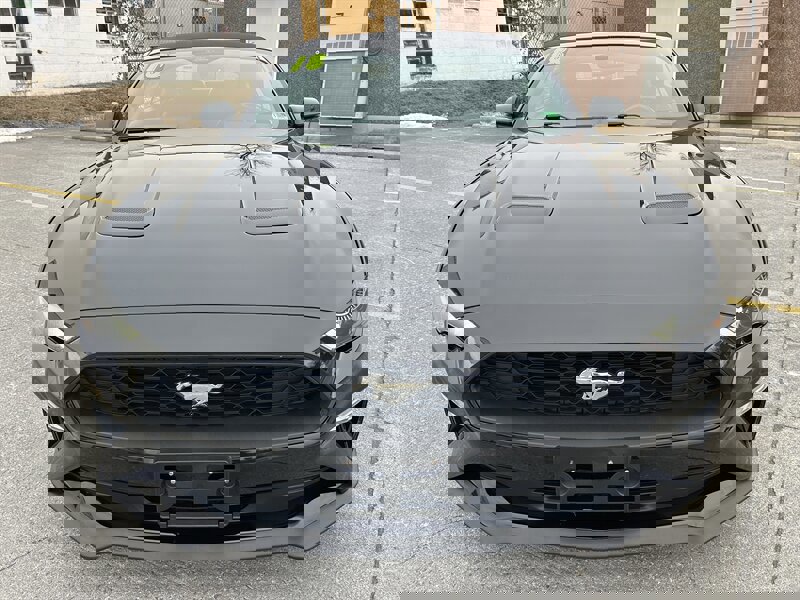 Used 2018 Ford Mustang Premium image 9