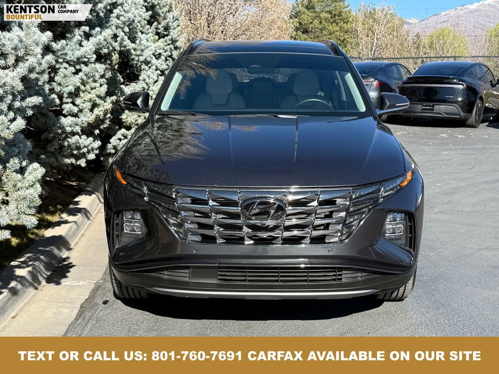 Used 2023 Hyundai Tucson Limited image 2