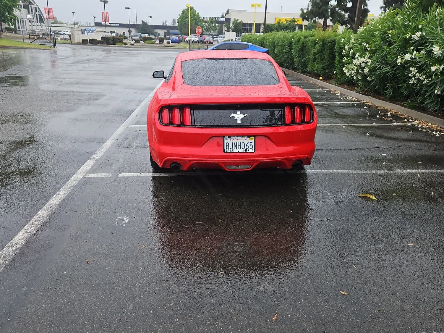 Used 2017 Ford Mustang Coupe w/ Enhanced Security Package RWD image 7