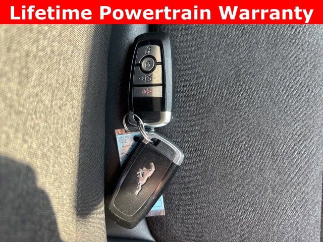 Used 2024 Ford Mustang Coupe image 7