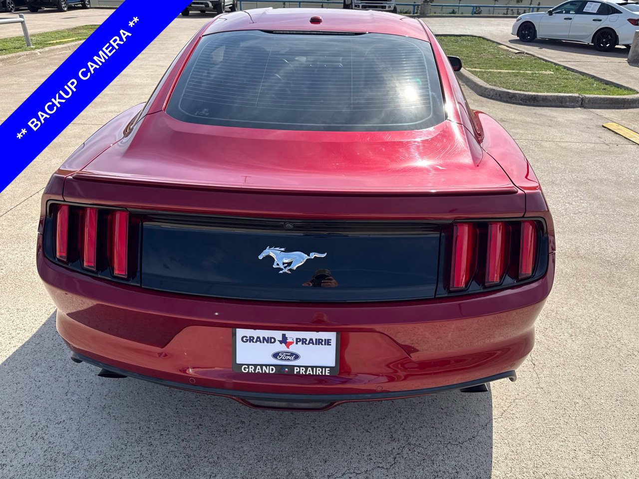 Used 2016 Ford Mustang Premium w/ Equipment Group 201A RWD image 7