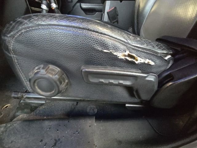 Used 2021 Jeep Gladiator Willys image 23