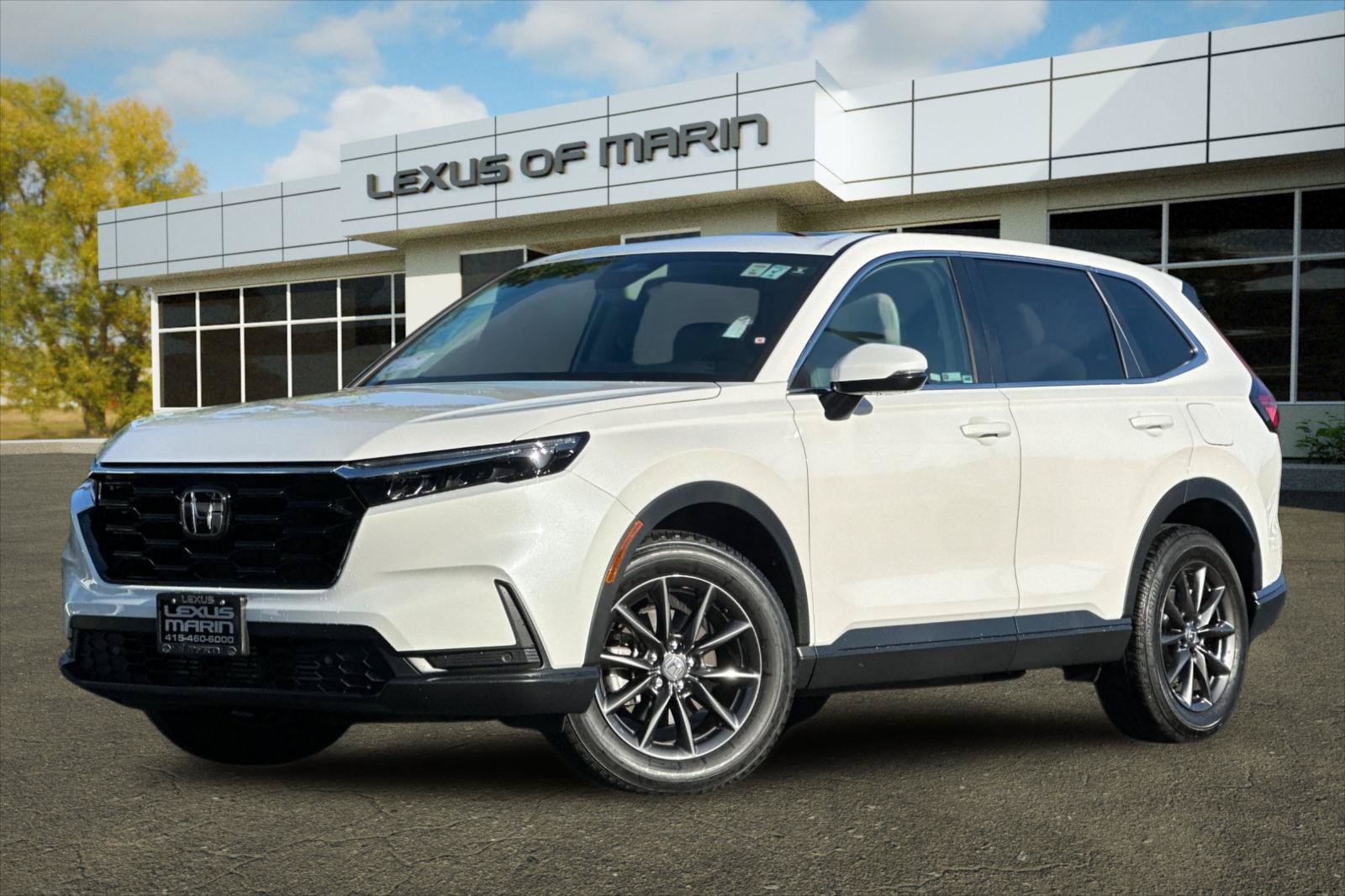 Used 2026 Honda CR-V EX-L image 1