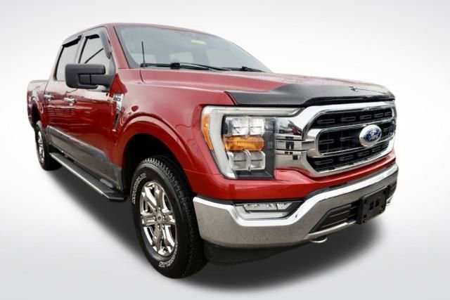 Used 2021 Ford F150 XLT w/ Equipment Group 302A High image 3