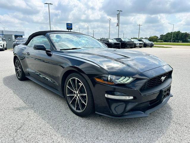 Certified 2019 Ford Mustang Premium w/ Equipment Group 201A RWD image 7