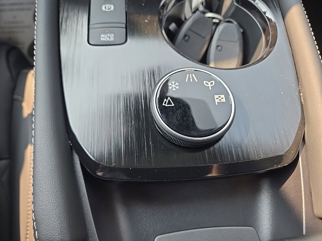 New 2026 Nissan Rogue Platinum w/ Platinum Premium Package image 19