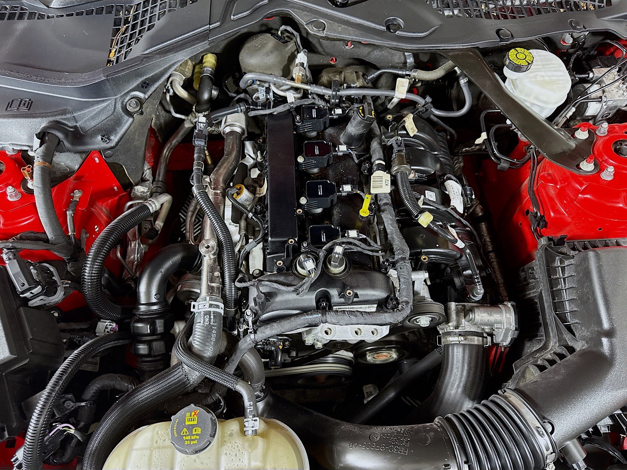 Used 2021 Ford Mustang Premium image 37